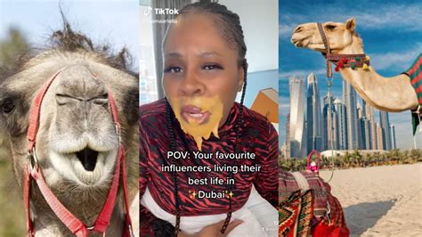 Watch popular content from the following creators: Racle Talker(@racle_talker), Dubaiportapotty(@billionaireprimeclub), CAPABLEMAMA5(@capablemumzy5), Tony Samuel(@callme_tonymontana), Abby Gold(@_abbyq_), Maryam (@aintgahshionmi), ChySavage⚔️(@originalchyldn), Cathy(@cathygenesis), JackieChindo🔥. . Porta potty dubai girl sleeping with dog